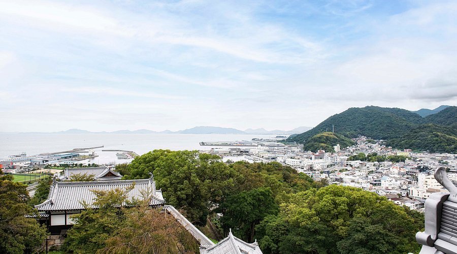 🏯 가와노에 성(가와노에조)